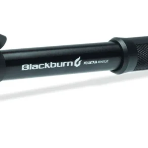 Sonderangebot Mountain Anyvalve Fahrradpumpe