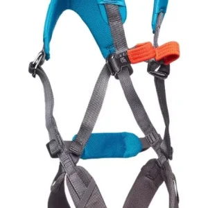 Kracherpreis Kindergurt Momentum Full Body Kids