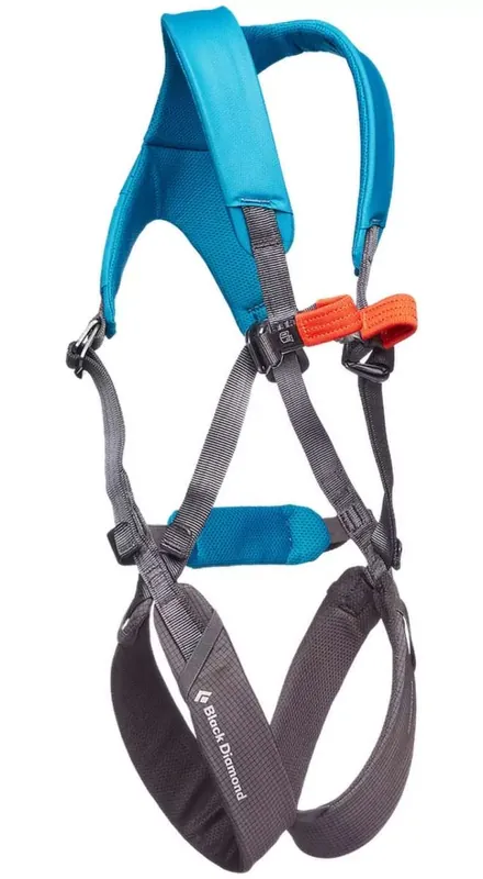 Kracherpreis Kindergurt Momentum Full Body Kids