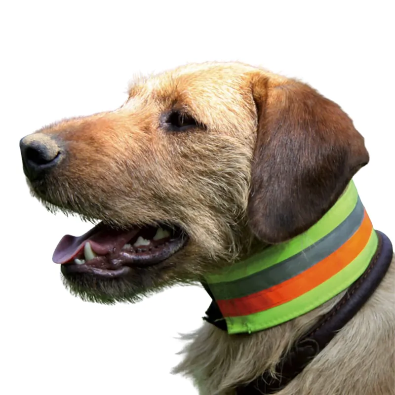 Heißes Angebot AKAH reflektierendes Hundehalsband – 30 cm bis 55 cm