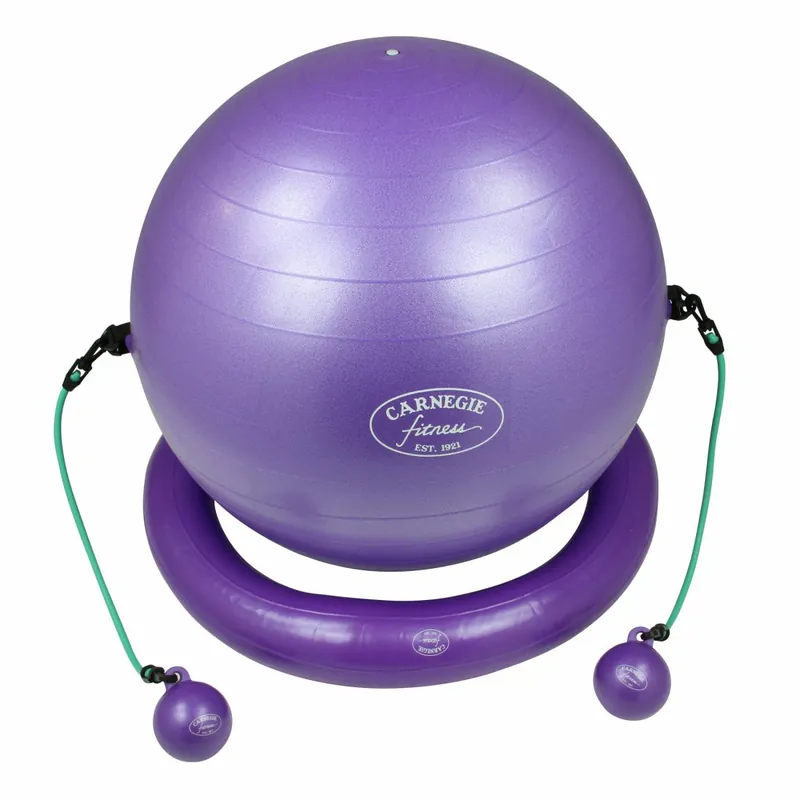 Carnegie Iso Gymnastikball Ø ca. 65 cm + Ring Widerstandsband Tubes Toning Balls DVD Poster Neue Ware