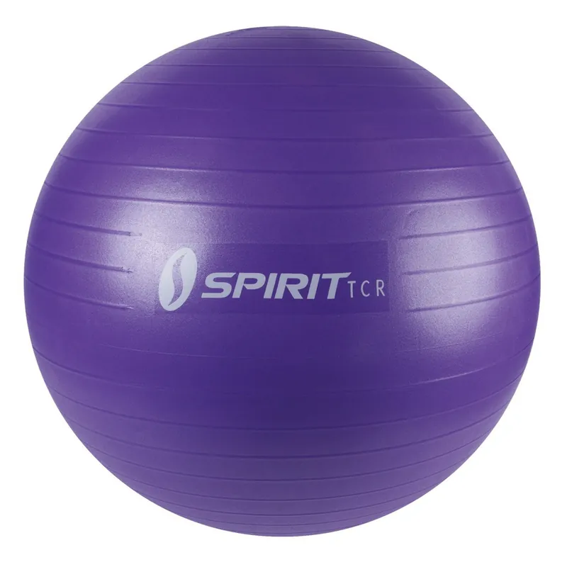 Heißes Angebot Spirit Gymnastikball Ø 65 Sitzball Fitnessball Yogaball Bürostuhl Ball + Pumpe