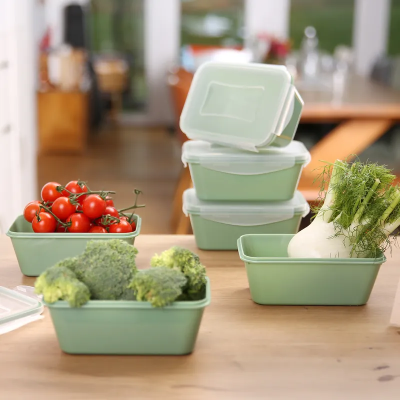 your GEAR Pila Set - 6 Frischhaltedosen 700 ml für Lebensmittel mit Deckel Preiswert