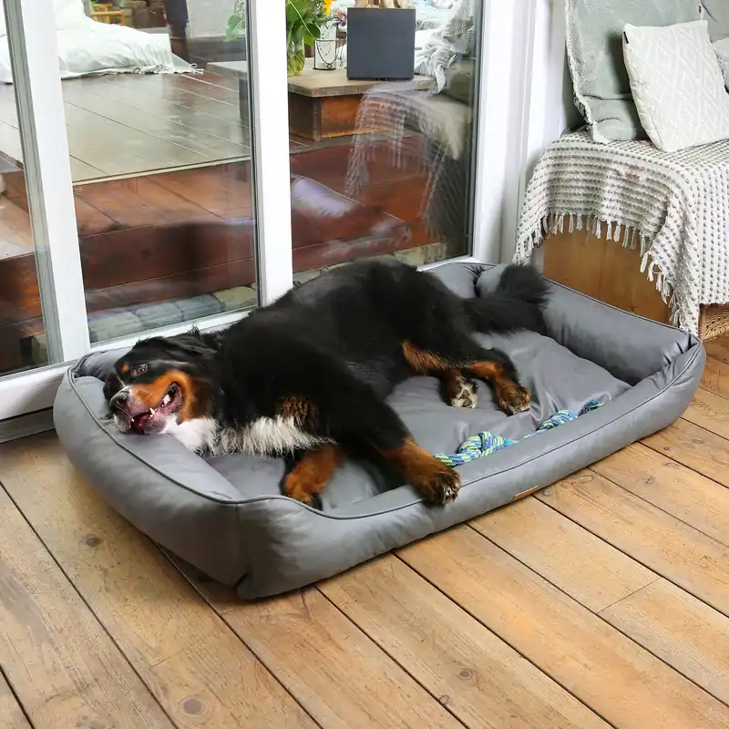 2nd Chance - your GEAR Belluno 90x140 cm orthopädisches Hundebett, Hundekorb, waschbar (71361) Neue Kollektion