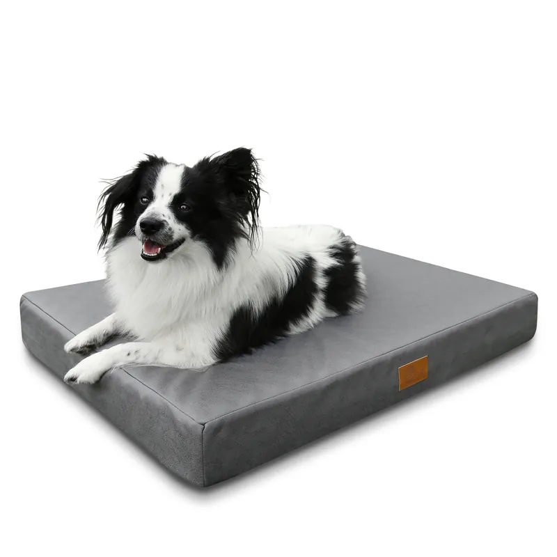 Neue Kollektion 2nd Chance - your GEAR Biella 80x60x10 cm orthopädisches Hundebett, Hundematte, Hundekissen, waschbar (71362)