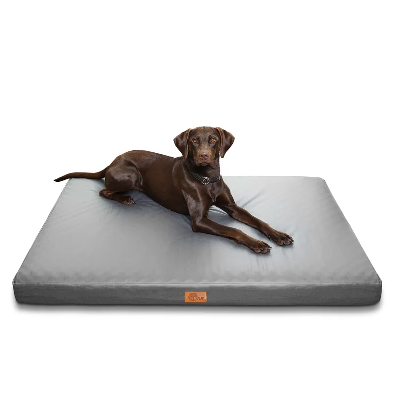 Schnäppchen 2nd Chance - your GEAR Biella 120x80x10 cm orthopädisches Hundebett, Hundematte, Hundekissen, waschbar (71363)
