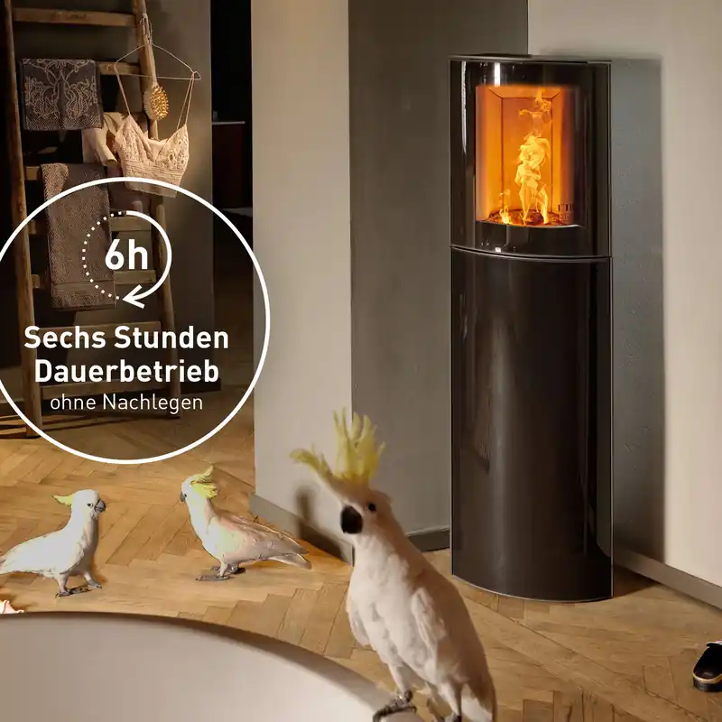 Austroflamm Mr. Wu Brikettofen Stahl Schwarz / Glasfront Begrenztes Angebot
