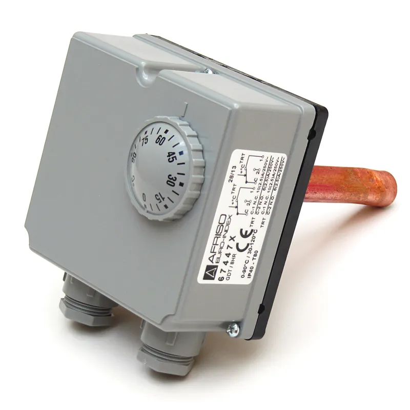 Gehäuse-Doppelthermostat Afriso Abverkauf