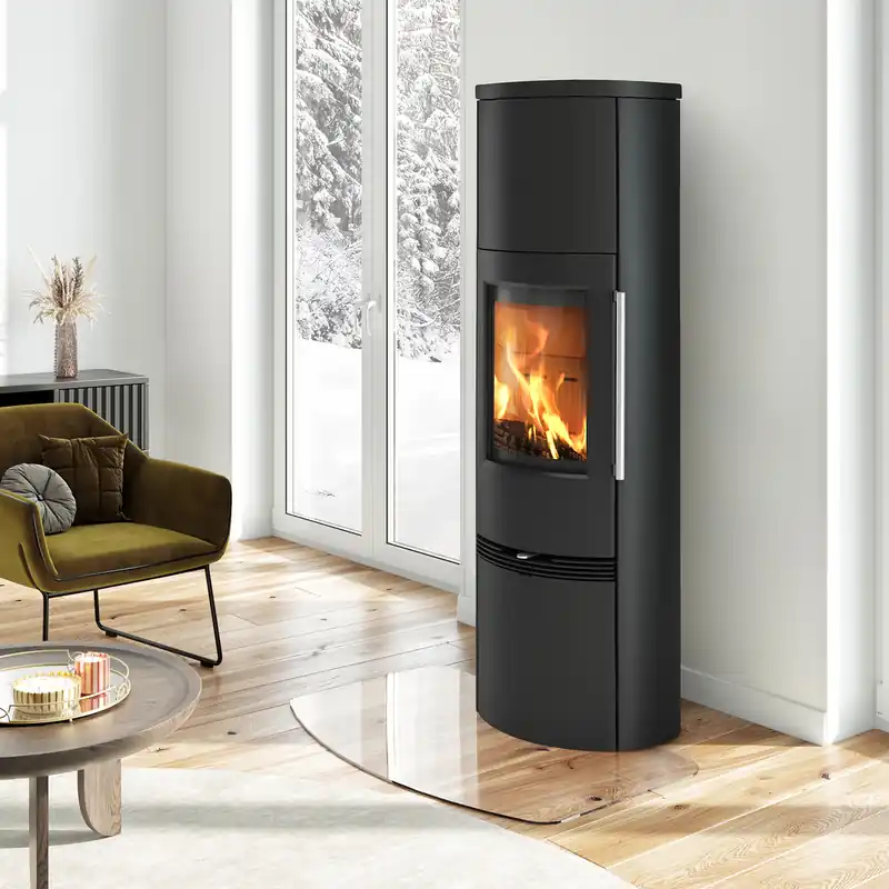 Kracherpreis TermaTech TT21RHT Kaminofen Stahl Schwarz