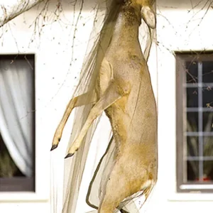 Fritzmann Fliegenschutznetz Rehwild 170x110cm Markenprodukt