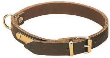 Sonderangebot AKAH Halsband genietet aus Sattelleder, 22 mm breit mit Adressanhänger, Dunkelbraun