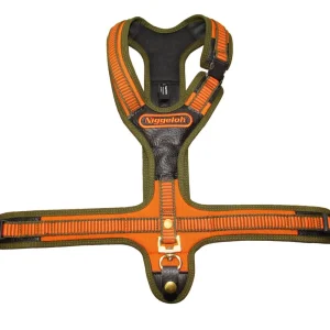 Sonderaktion Niggeloh Hundegeschirr Follow orange/oliv, orange/oliv