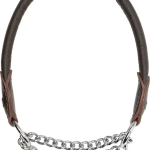 Blaser Hundehalsung Leder Neuheit