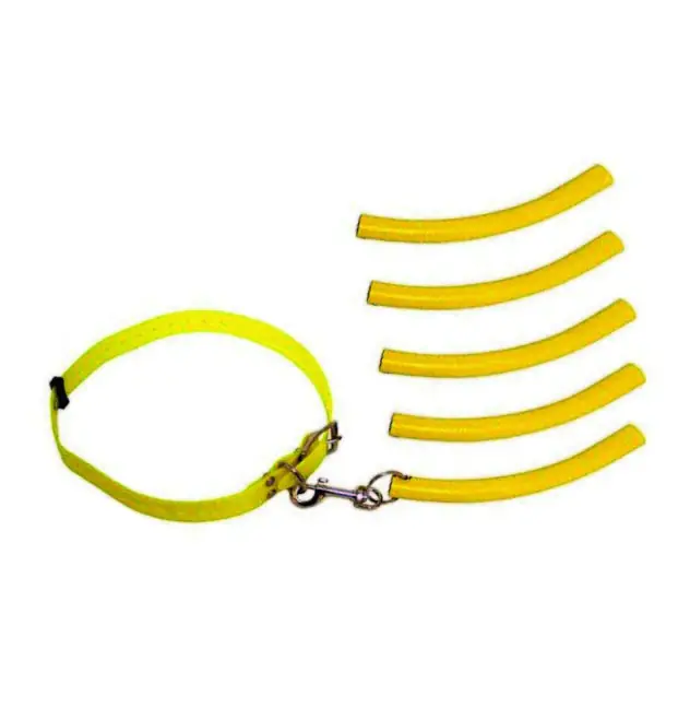 Waidwerk Waidwerk Bringsel Set Halsband und Übungsbringsel signalgelb Letzte Chance