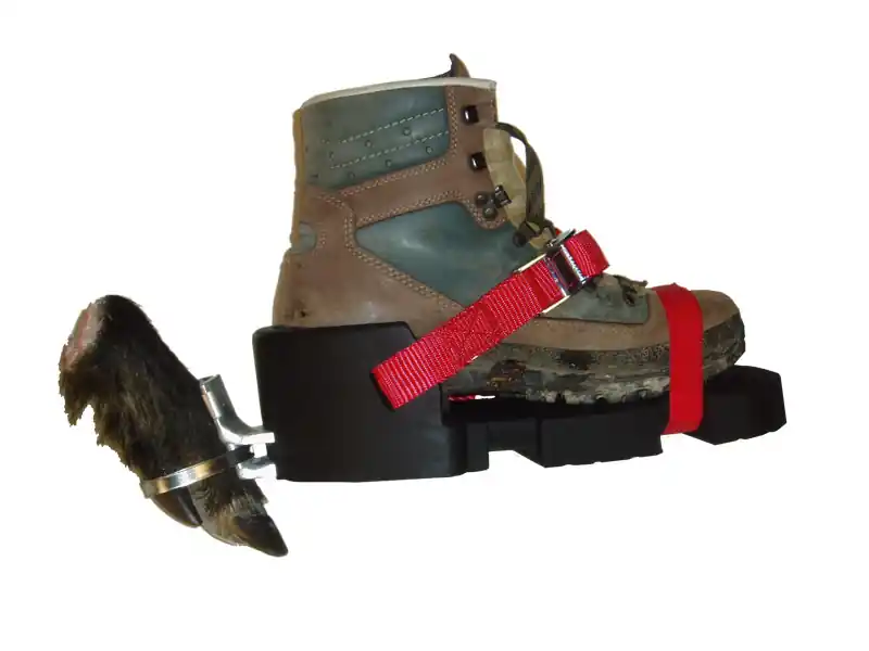 Waidwerk Fährtenschuh Classic Zertifiziert