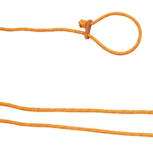 Farmland Lautlose Hundeleine , aus Nylon, Orange, 200cm Schneller Versand