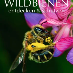 Neu Gräfe & Unzer Wildbienen entdecken & schützen