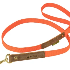 Waldkauz Führleine ‘‘Wadenbeißer‘‘ , aus Gurtband , Breite 20mm, Orange, 95cm Preiswert