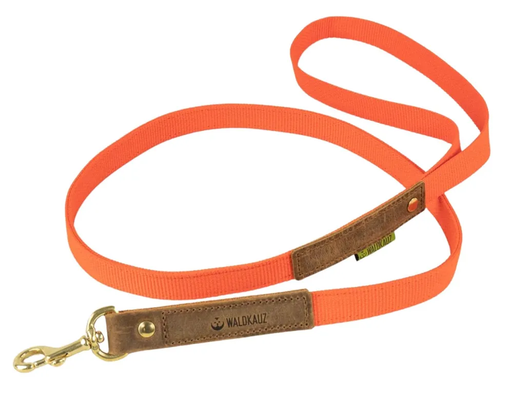 Waldkauz Führleine ‘‘Wadenbeißer‘‘ , aus Gurtband , Breite 20mm, Orange, 95cm Preiswert