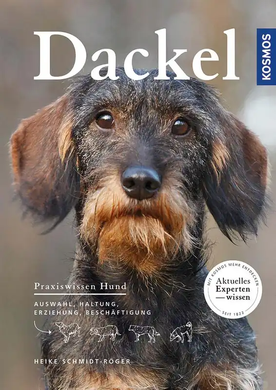 Preis Gesenkt Kosmos Dackel Heike Schmidt-Röger