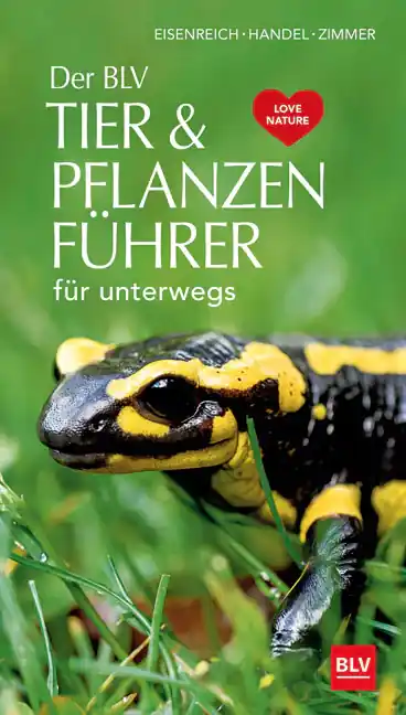 Gräfe & Unzer Eisenreich- BLV -Tier & Pflanz Ute E. Zimmer Neue Ware