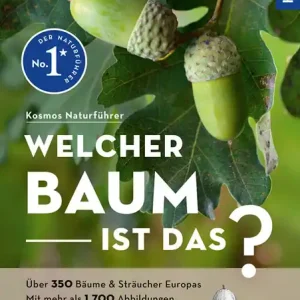 Kosmos Welcher Baum ist das? Spohn Markenware