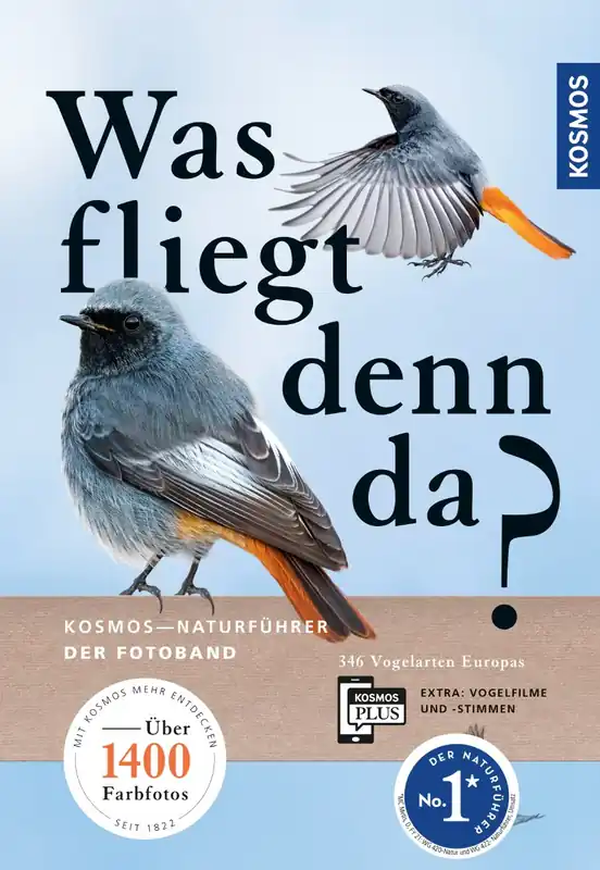 Schnäppchen Kosmos Was fliegt denn da? Singer