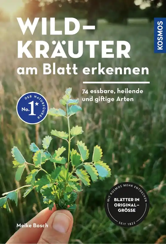 Echt Kosmos Wildkräuter am Blatt erkennen Meike Bosch