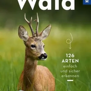 Kosmos Basic Wald Wilhelmsen Begrenztes Angebot