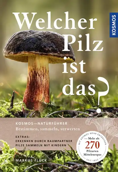 Beliebt Kosmos Welcher Pilz ist das? 270 Pilzarten Markus Flück