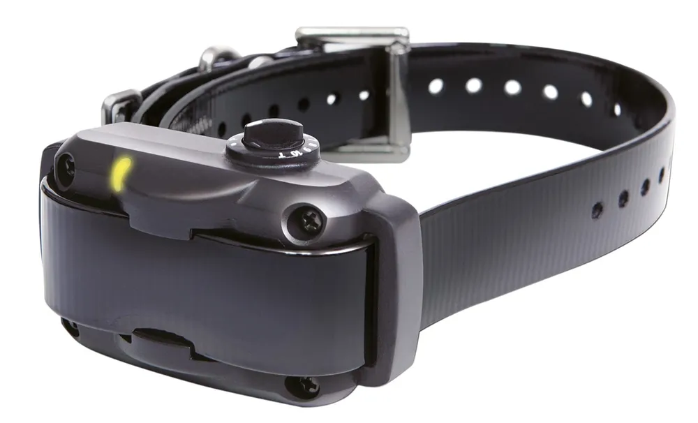 Nur Für Kurze Zeit Dogtra YS 600 Anti-Bell-Halsband