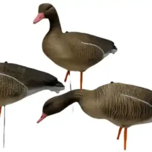 JVS Global Outdoor Lockvögel Graugans Vollkörper 6er Pack Mega-Angebot