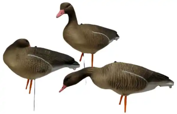 JVS Global Outdoor Lockvögel Graugans Vollkörper 6er Pack Mega-Angebot