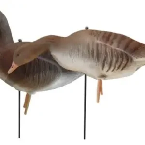 JVS Global Outdoor Lockvögel Graugans Vollkörper 6er Pack beflockt Sichere Zahlung