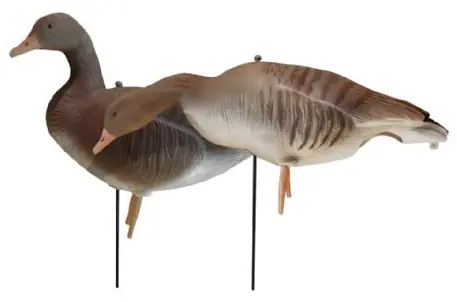 JVS Global Outdoor Lockvögel Graugans Vollkörper 6er Pack beflockt Sichere Zahlung