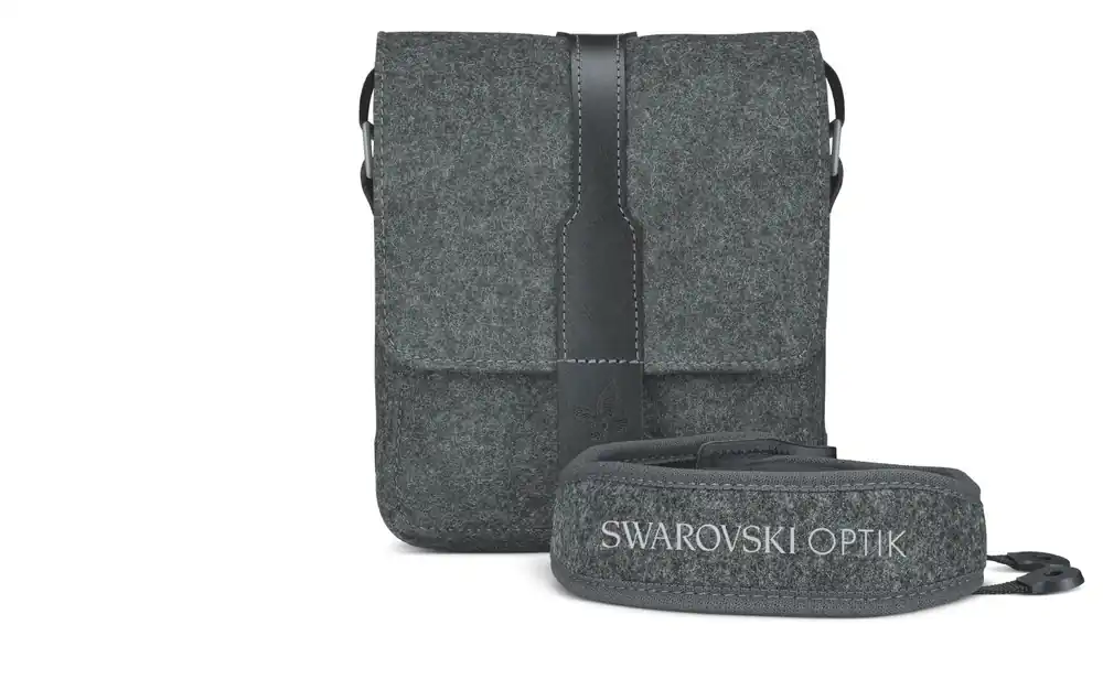 Online Kaufen Swarovski Zubehörpaket NORTHERN LIGHTS